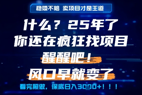 什么？25年你还在疯狂找项目做，醒醒吧，看完这些你全都懂了！【揭秘】 - 猎人社区-猎人社区