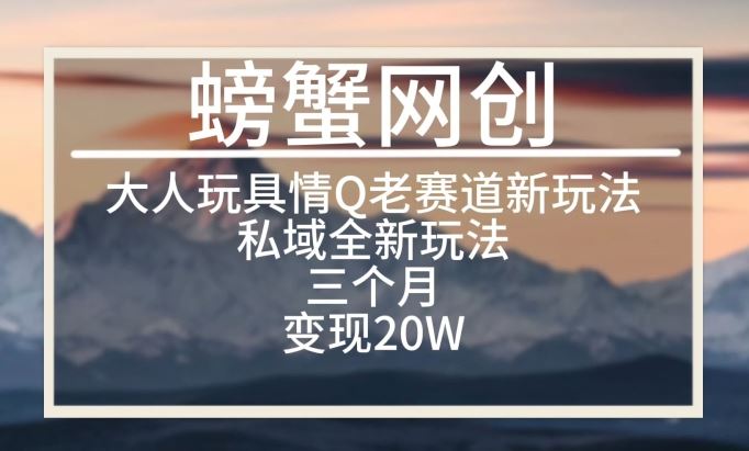 大人玩具情Q用品赛道私域全新玩法，三个月变现20W，老项目新思路【揭秘】 - 猎人社区-猎人社区