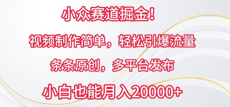 小众赛道掘金，视频制作简单，轻松引爆流量，条条原创，多平台发布【揭秘】 - 猎人社区-猎人社区