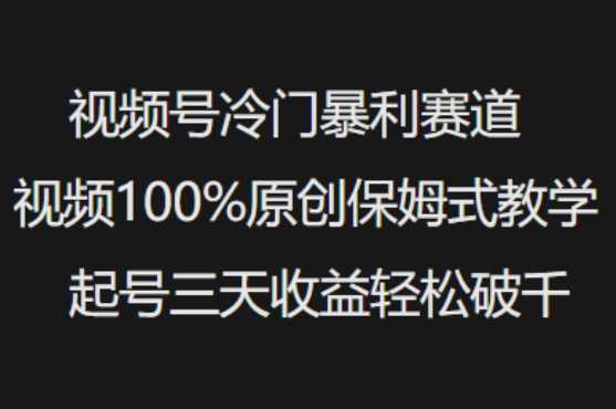 视频号冷门暴利赛道视频100%原创保姆式教学起号三天收益轻松破千 - 猎人社区-猎人社区
