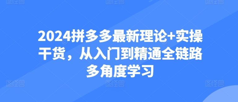 2024拼多多最新理论+实操干货，从入门到精通全链路多角度学习 - 猎人社区-猎人社区