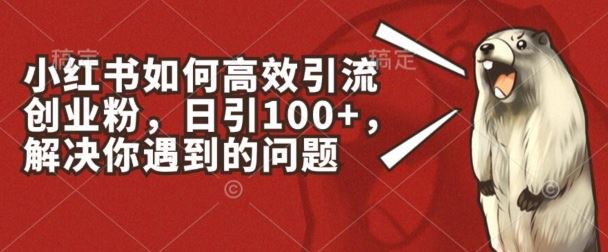 小红书如何高效引流创业粉，日引100+，解决你遇到的问题【揭秘】-猎人社区