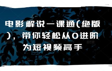 电影解说一课通(绝版)，带你轻松从0进阶为短视频高手 - 猎人社区-猎人社区
