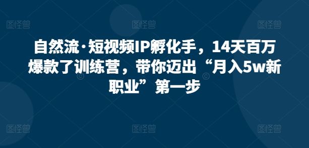 自然流·短视频IP孵化手，14天百万爆款了训练营，带你迈出“月入5w新职业”第一步 - 猎人社区-猎人社区