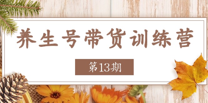 养生号带货训练营【第13期】收益更稳定的玩法，让你带货收益爆炸 - 猎人社区-猎人社区