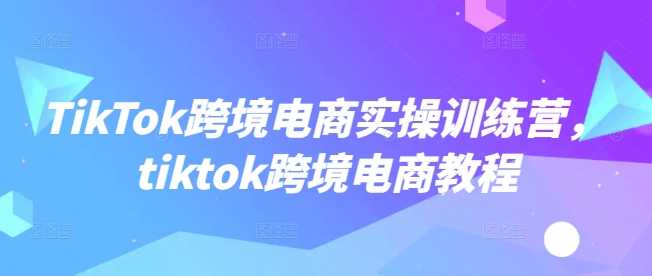 TikTok跨境电商实操训练营，tiktok跨境电商教程 - 猎人社区-猎人社区