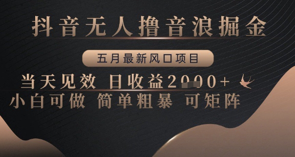 抖音无人撸音浪掘金，五月最新风口项目，当天见效，日收益多张，小白可做简单粗暴可矩阵【揭秘】 - 猎人社区-猎人社区