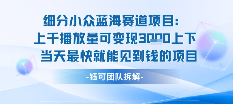 小众蓝海赛道项目：当天变现1k+适合新手操作 +适合长期玩-猎人社区