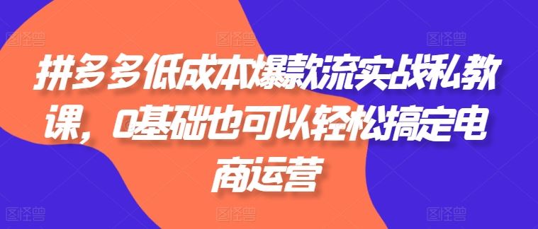 拼多多低成本爆款流实战私教课，0基础也可以轻松搞定电商运营 - 猎人社区-猎人社区