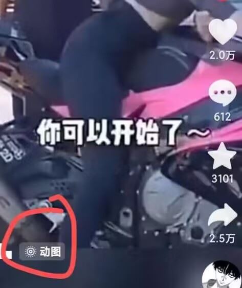 2024年7月苹果手机动图搬运技术 - 猎人社区-猎人社区