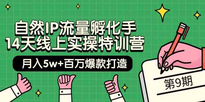 自然IP流量孵化手 14天线上实操特训营【第9期】月入5w+百万爆款打造 (74节 - 猎人社区-猎人社区