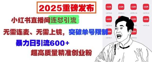 2025重磅发布：小红书直播间连怼引流，无需连麦、无需上镜，突破单号限制，暴力日引流600+ - 猎人社区-猎人社区