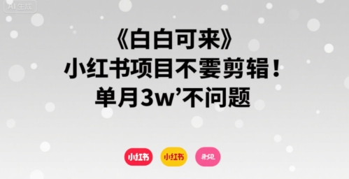 小白可来 小红书项目不需要剪辑 单月3w不是问题-猎人社区