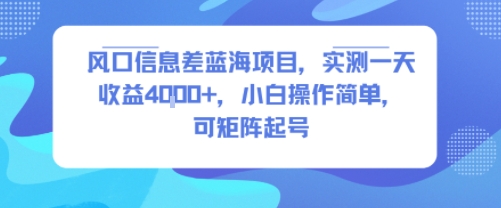 风口信息差蓝海项目，实测一天收益4k+，小白操作简单，可矩阵起号 - 猎人社区-猎人社区
