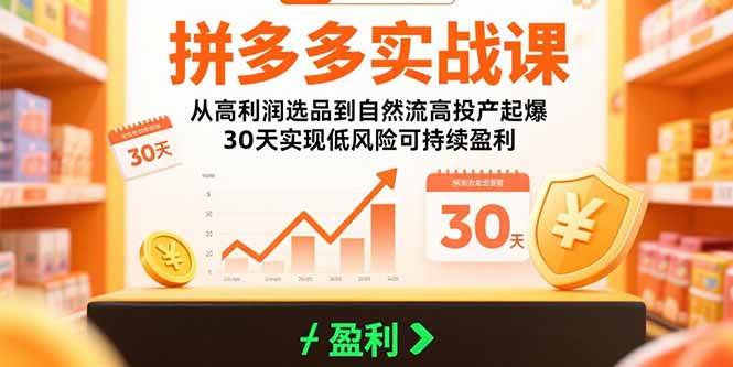 拼多多实战课：从高利润选品到自然流高投产起爆 30天实现低风险可持续盈利 - 猎人社区-猎人社区