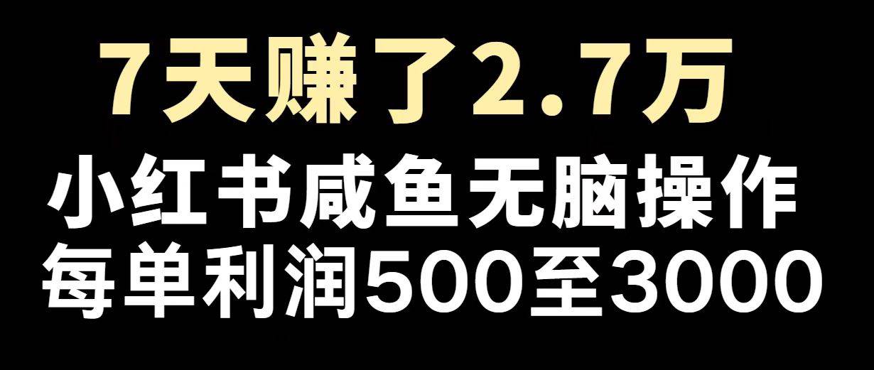 最赚钱项目之一，2025爆火，逆风翻盘！-猎人社区