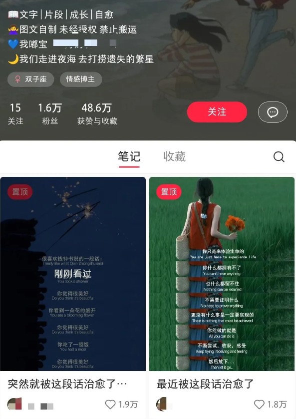 小红书治愈文案图文笔记，零门槛，一分钟制作轻松制作爆款作品月入万元-猎人社区