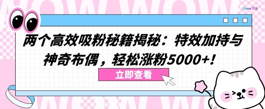 两个高效吸粉秘籍揭秘：特效加持与神奇布偶，轻松涨粉5000+【揭秘】 - 猎人社区-猎人社区