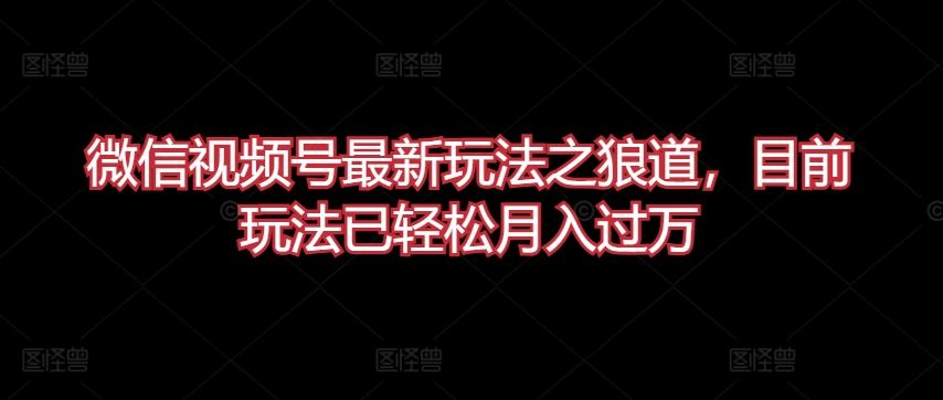 微信视频号最新玩法之狼道，目前玩法已轻松月入过万【揭秘】 - 猎人社区-猎人社区
