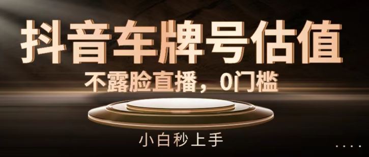 抖音车牌号估值，不露脸直播，0门槛，小白秒上手【揭秘】 - 猎人社区-猎人社区