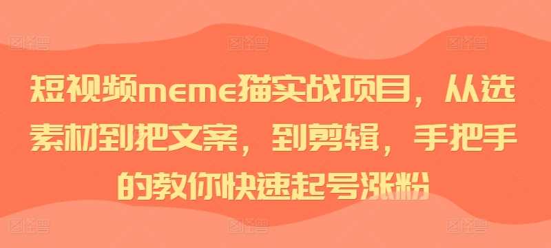 短视频meme猫实战项目，从选素材到把文案，到剪辑，手把手的教你快速起号涨粉 - 猎人社区-猎人社区