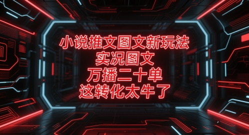 小说推文图文新玩法，实况图文，万播二十单，这转化太牛了！-猎人社区