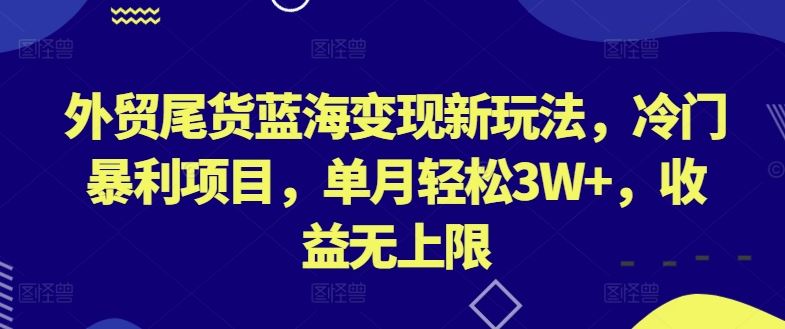 外贸尾货蓝海变现新玩法，冷门暴利项目，单月轻松3W+，收益无上限【揭秘】-猎人社区