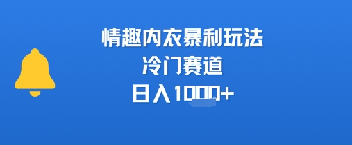 情趣内衣暴利玩法，冷门赛道，日入1k+ - 猎人社区-猎人社区