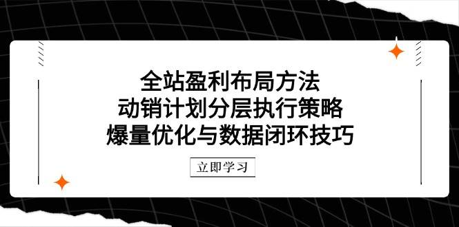 全站盈利布局方法：动销计划分层执行策略，爆量优化与数据闭环技巧 - 猎人社区-猎人社区