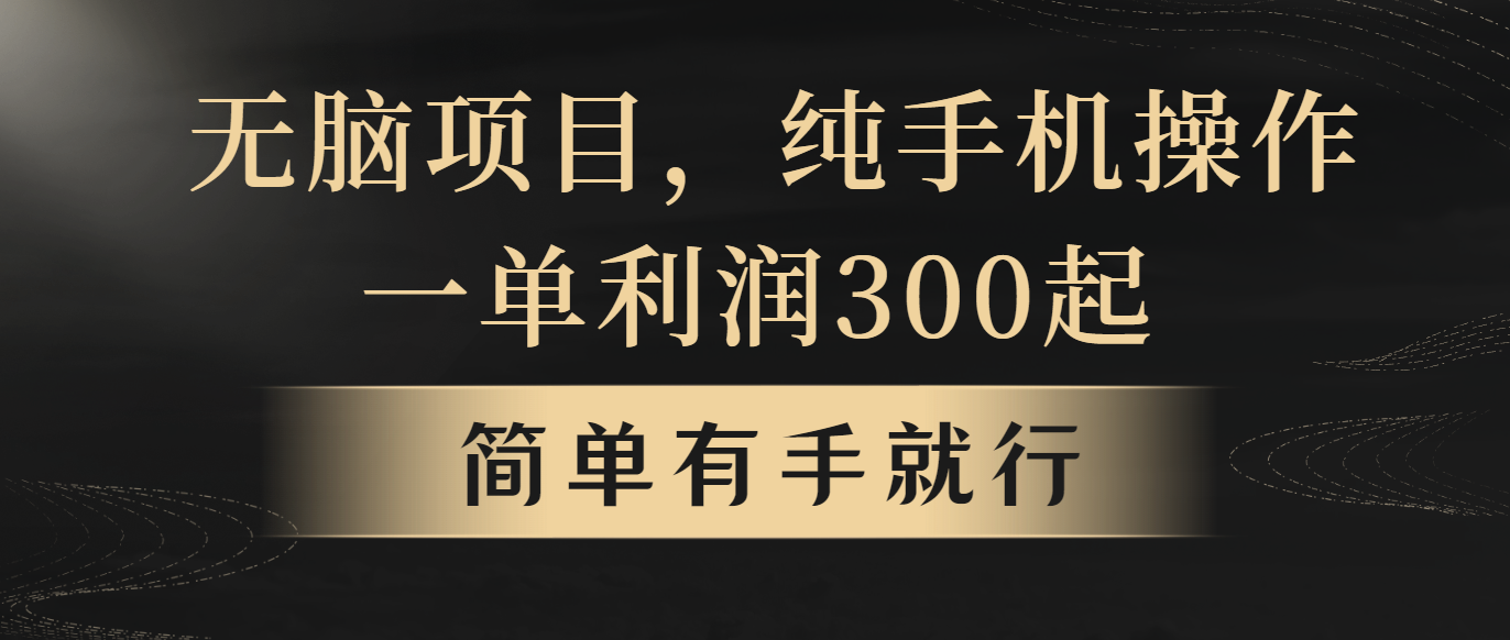 无脑项目，一单几百块，轻松月入5w+，看完就能直接操作-猎人社区