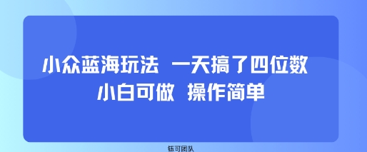 小众蓝海玩法 一天搞了四位数 小白可做 操作简单 - 猎人社区-猎人社区