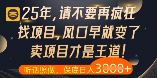 什么？25年你还在疯狂找项目做，醒醒吧，看完这些你全都懂了【揭秘】 - 猎人社区-猎人社区