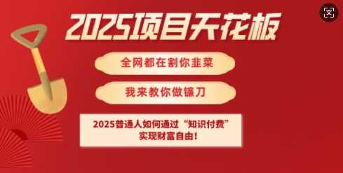 2025项目天花板普通人如何通过知识付费，实现财F自由【揭秘】 - 猎人社区-猎人社区