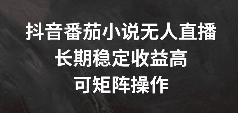 抖音番茄小说无人直播，长期稳定收益高，可矩阵操作【揭秘】 - 猎人社区-猎人社区