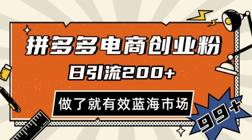 拼多多引流电商创业粉，日引200+，可矩阵放大，做了就有效【揭秘】 - 猎人社区-猎人社区
