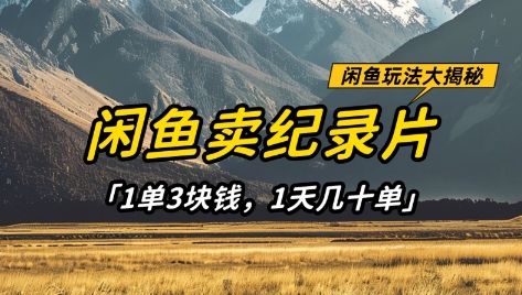 闲鱼卖纪录片1单3块钱，1天几十单，项目稳定有潜力-猎人社区