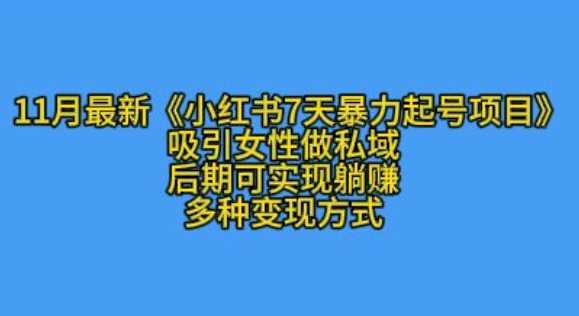 K总部落11月最新小红书7天暴力起号项目，吸引女性做私域【揭秘】 - 猎人社区-猎人社区