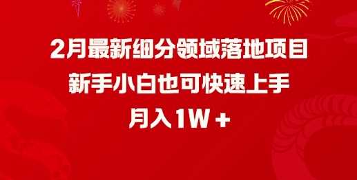 2月最新细分领域落地项目，新手小白也可快速上手，月入1W - 猎人社区-猎人社区