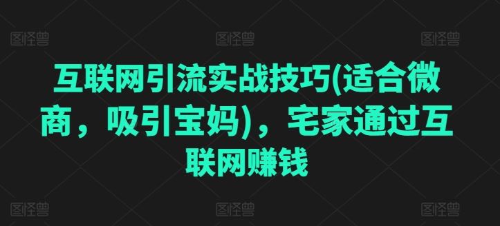 互联网引流实战技巧(适合微商，吸引宝妈)，宅家通过互联网赚钱 - 猎人社区-猎人社区