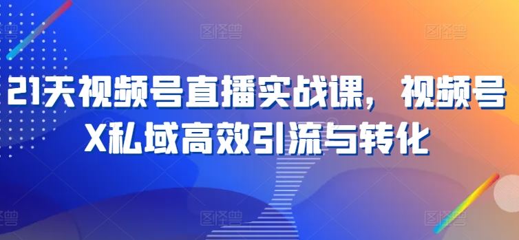 21天视频号直播实战课，视频号X私域高效引流与转化 - 猎人社区-猎人社区