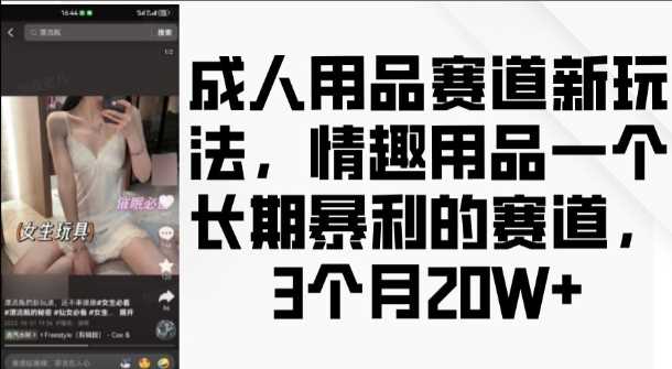 成人用品赛道新玩法，情趣用品一个长期暴利的赛道，3个月收益20个【揭秘】-猎人社区