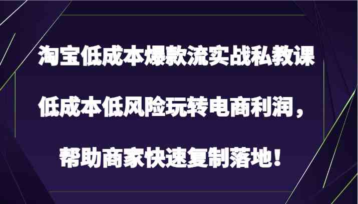 淘宝低成本爆款流实战私教课，低成本低风险玩转电商利润，帮助商家快速复制落地！-猎人社区
