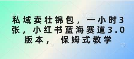 私域卖壮锦包，一小时3张，小红书蓝海赛道3.0版本， 保姆式教学 - 猎人社区-猎人社区