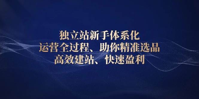独立站新手体系化 运营全过程，助你精准选品、高效建站、快速盈利 - 猎人社区-猎人社区