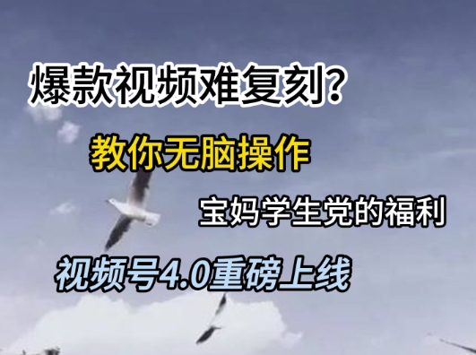 视频号4.0重磅上线，爆款视频难复刻？教你无脑操作宝妈学生党的福利【揭秘】 - 猎人社区-猎人社区