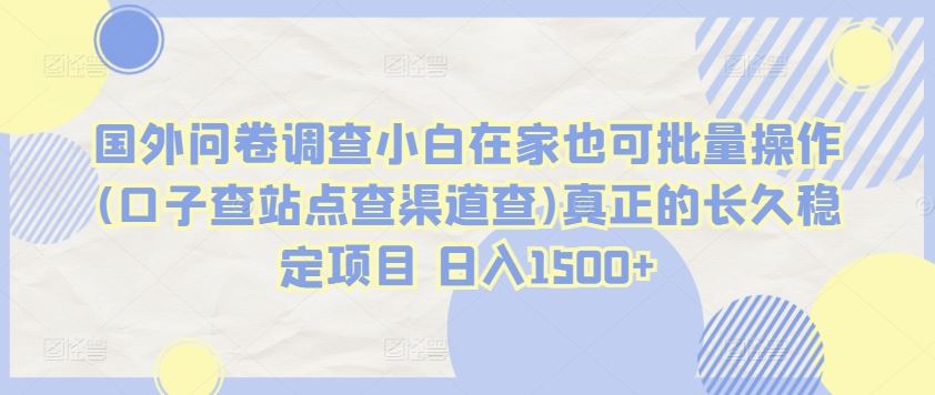 国外问卷调查小白在家也可批量操作(口子查站点查渠道查)真正的长久稳定项目 日入1500+【揭秘】-猎人社区