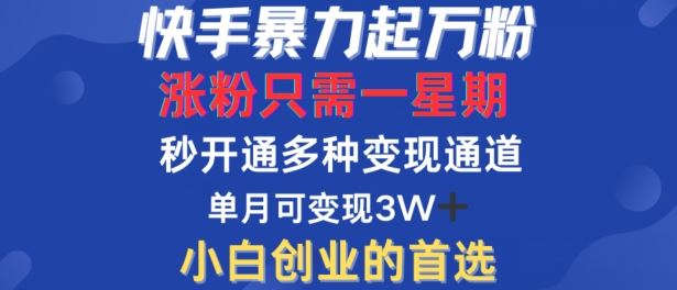 快手暴力起万粉，涨粉只需一星期，多种变现模式，直接秒开万合，单月变现过W【揭秘】 - 猎人社区-猎人社区