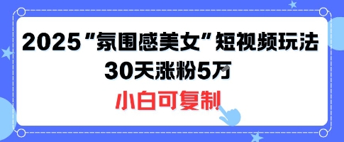 不露脸也能火！2025“氛围感美女”短视频玩法，30天涨粉5W小白可复制 - 猎人社区-猎人社区