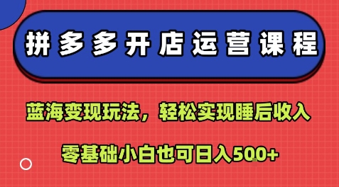 拼多多开店运营课程：蓝海变现玩法，轻松实现睡后收入，零基础小白也可日入5张 - 猎人社区-猎人社区