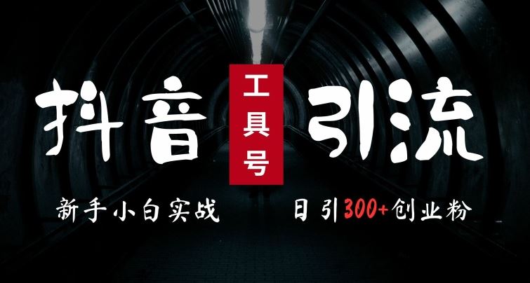 2024最新抖音工具号引流玩法，高效日引300+创业粉，当天变现5k，小白也可成为实战高手-猎人社区